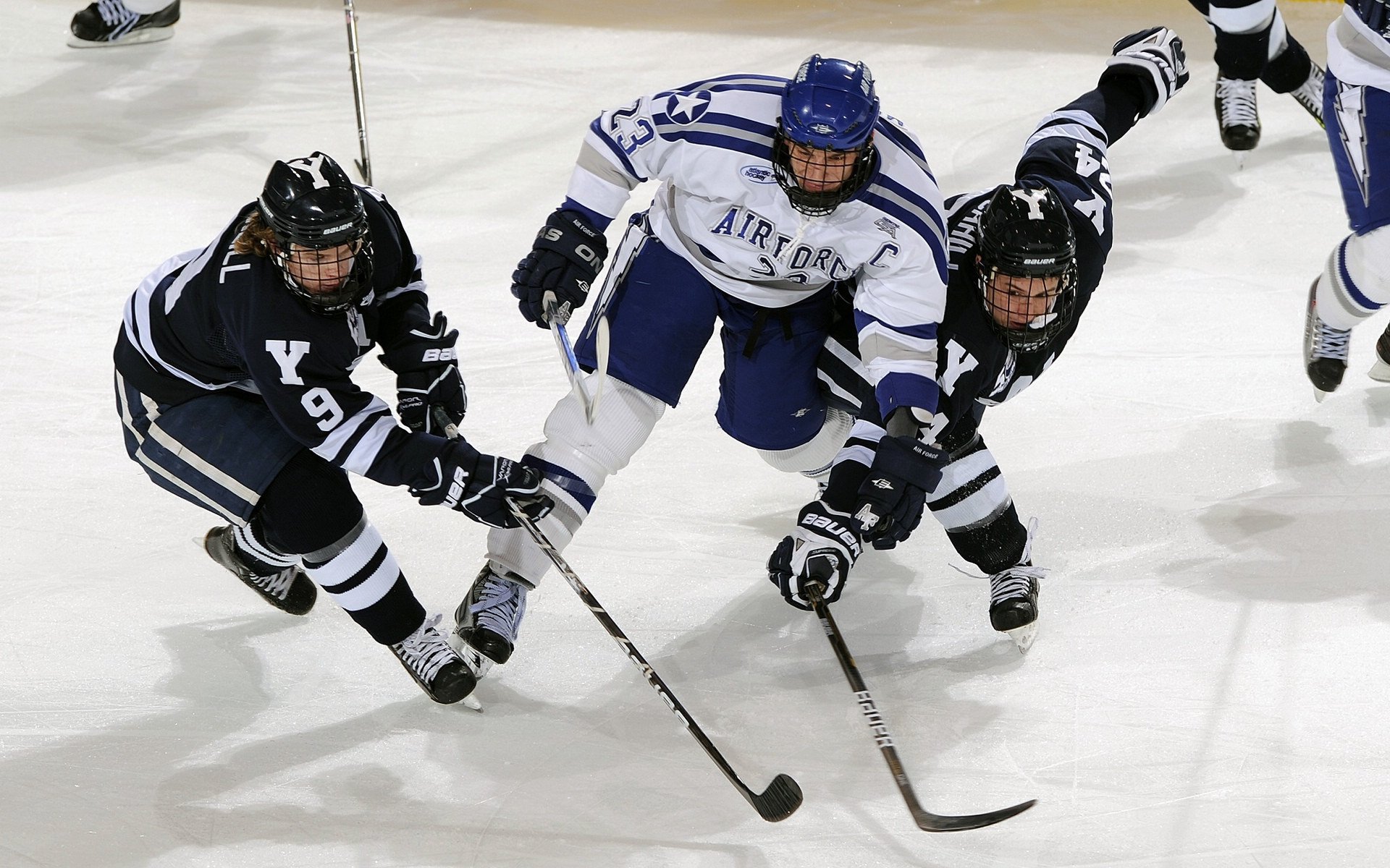综合格斗赛场焦点！阿根廷队对阵意大利队，球星闪耀，全场焦点无人能挡